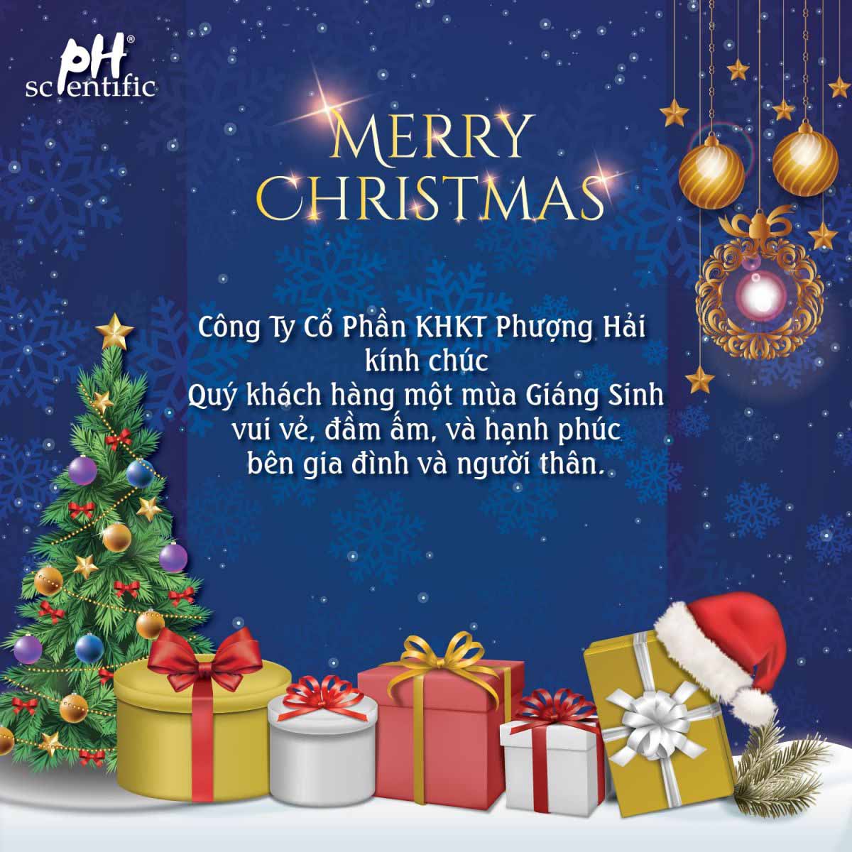 thiep-merry-christmas-and-happy-new-year