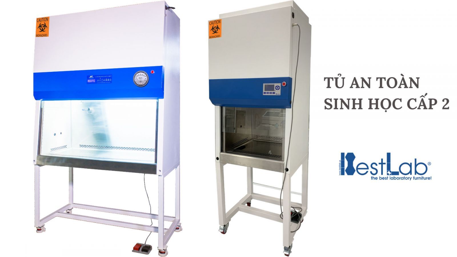 tu-an-toan-sinh-hoc-cap-2